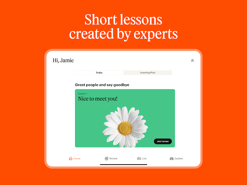 Babbel - Learn Languages rozet ve seviye ekranı