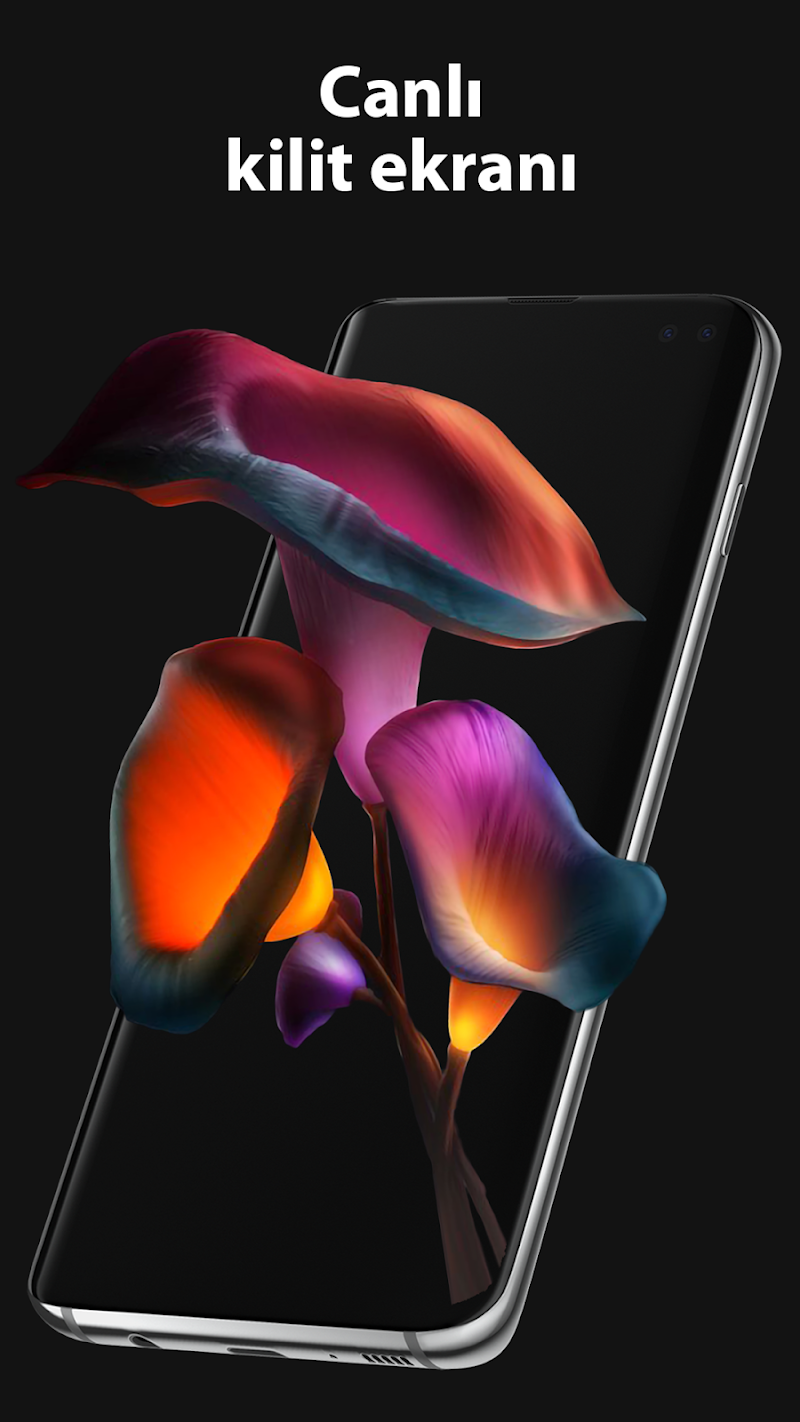 Pixel 4D Canlı Duvar Kağıtları 3D duvar kağıdı seçimi