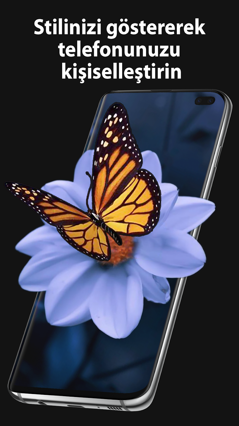 Pixel 4D Canlı Duvar Kağıtları AMOLED duvar kağıdı örneği