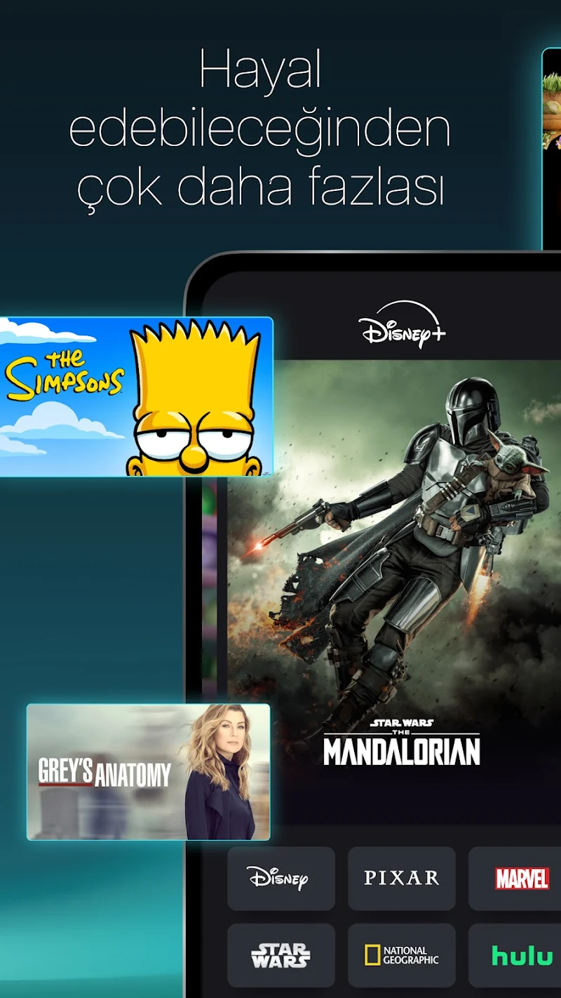 Disney+ APK ana ekran görüntüsü
