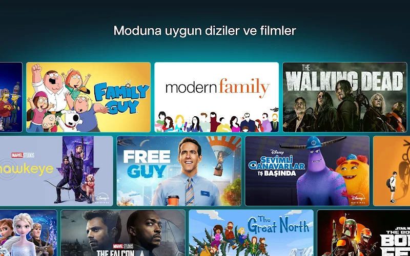 Disney+ uygulama ayarları ekranı
