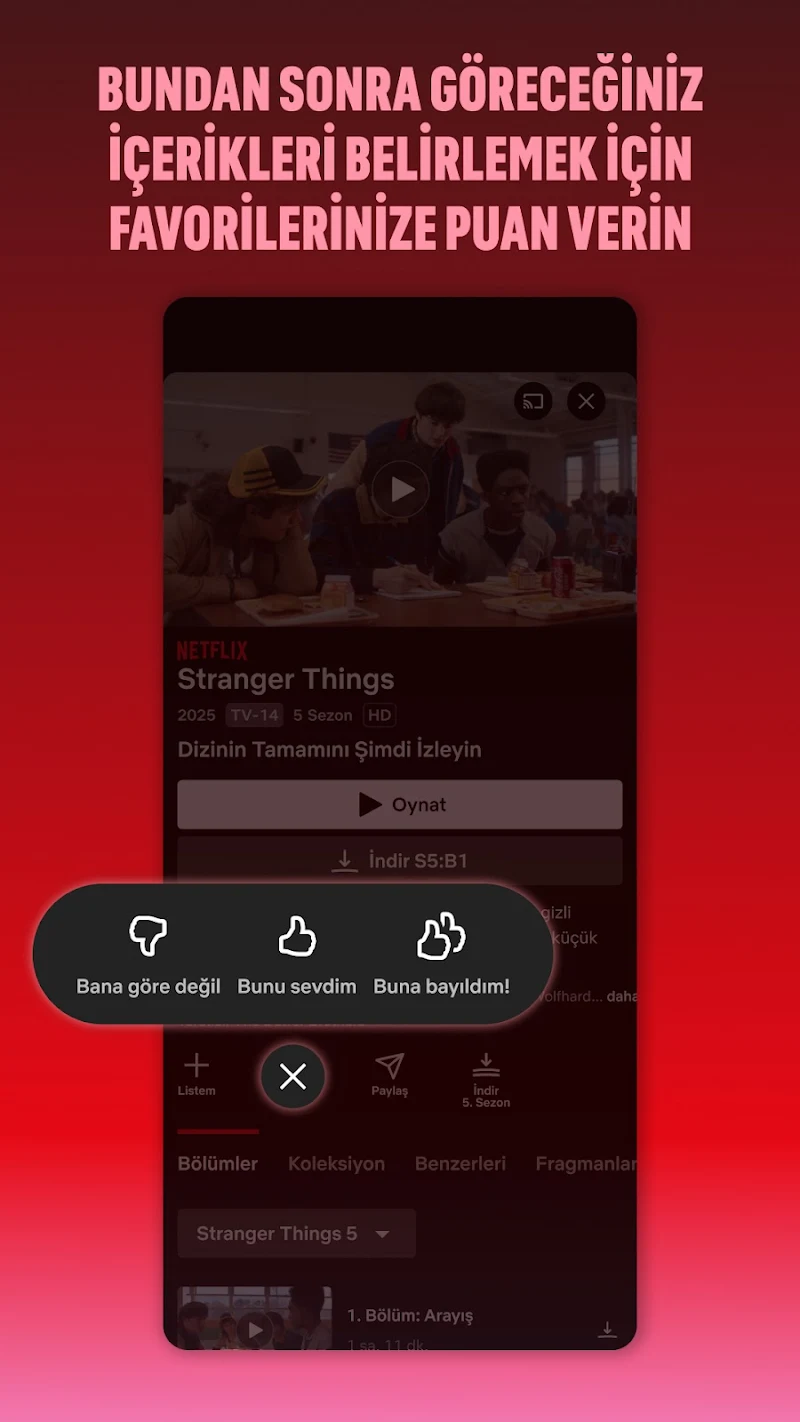 Netflix APK ayarlar menüsü