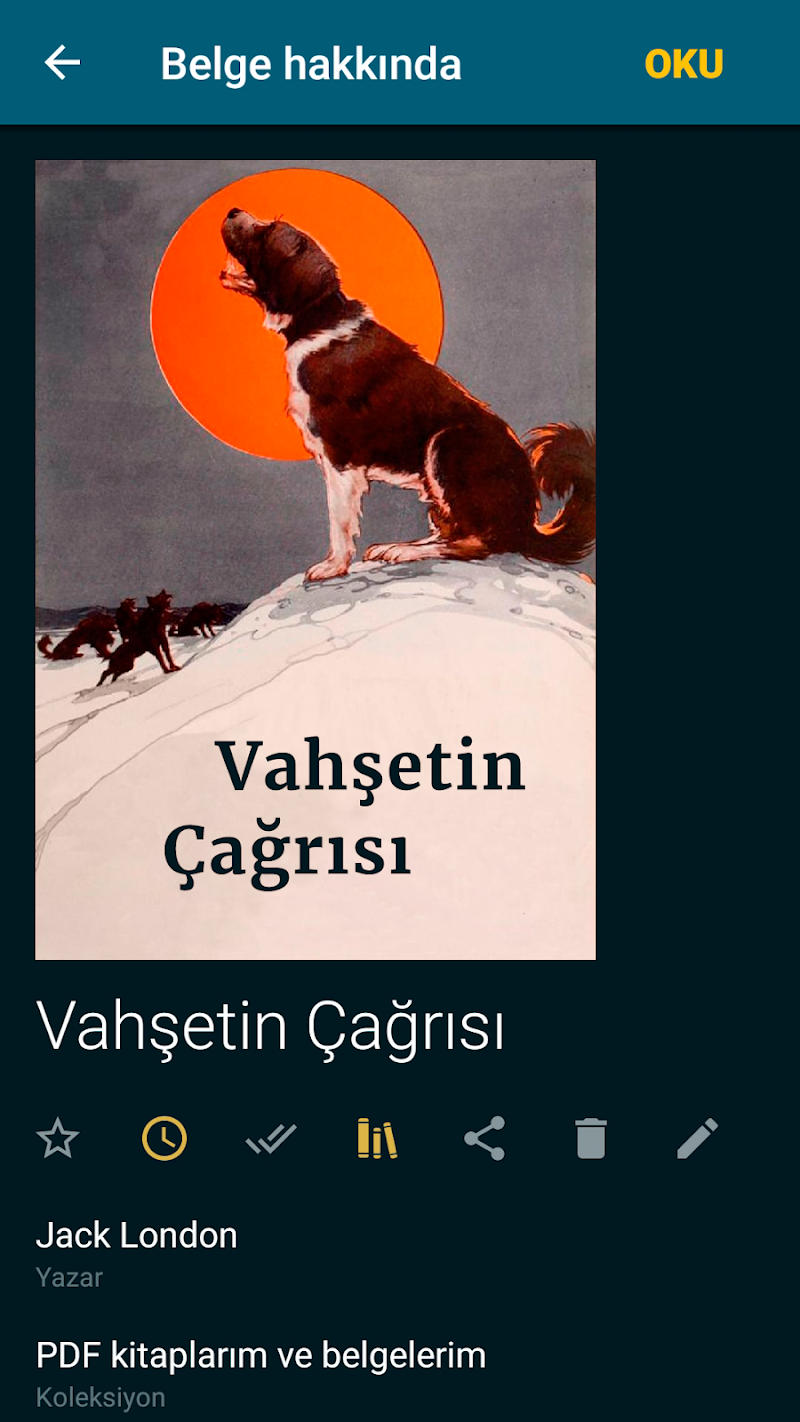 ReadEra kitap okuyucu pdf epub kitaplık görünümü