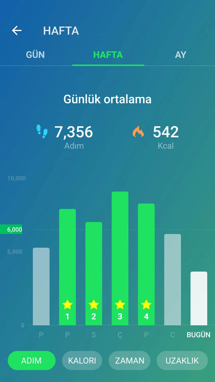 Adım Sayar - Pedometre ,Mstep grafik raporlama ekranı
