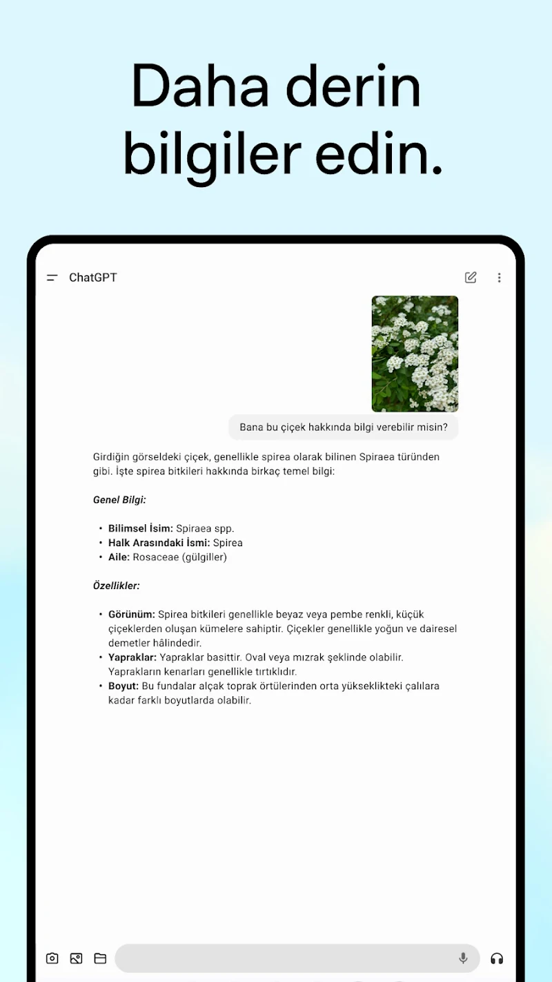 ChatGPT APK kurulumu adımları